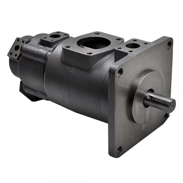 Yuken PV2R13-31-116-F-RAAA-41 Double Vane pump #1 image